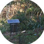 守護原始風貌重現(xiàn)往日壯麗風采